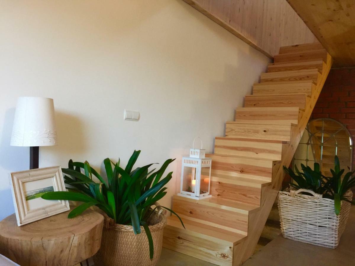 La Holandesa Apartment เซร์เซดียา ภายนอก รูปภาพ